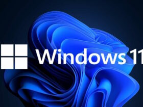 Windows Build 25330