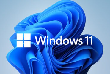 Problemas en Windows 11 Build 25336
