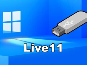 Live11 te permite probar Windows 11 en cualquier PC