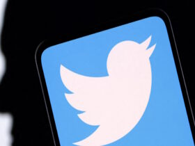 La API de Twitter vuelve a ser gratis, pero no para todos