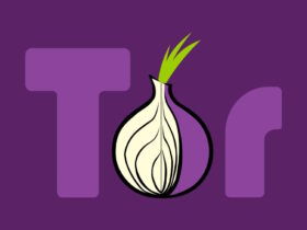 ¿Qué es la Red Tor?