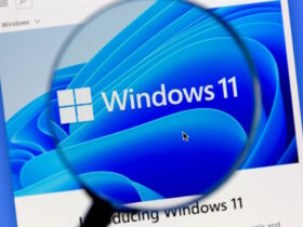 Windows 11 Build 22621.1690 y Build 22624.1690