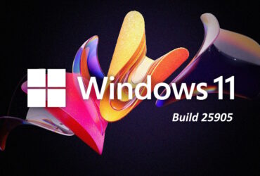 Windows 11 Build 25905