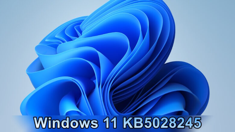 Windows 11 KB5028245