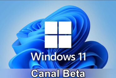 Windows 11 KB5028251