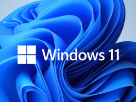 Nueva característica llega a la barra de búsqueda de Windows 11