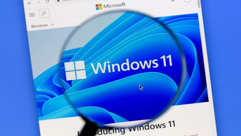 Windows 11 KB5029351