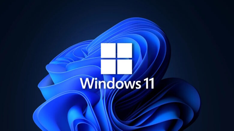 Windows 11 KB5029351