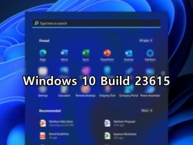 Windows 11 Build 23615
