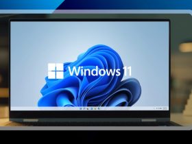 Windows 11 24H2 es incompatible con ExplorerPatcher