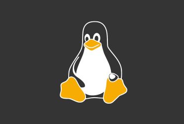 Linux Avanza: El Ascenso Silencioso del Sistema Operativo