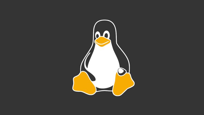 Linux Avanza: El Ascenso Silencioso del Sistema Operativo