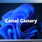 Canal Canary de Windows 11