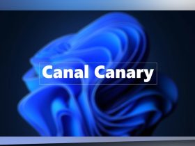 Canal Canary de Windows 11