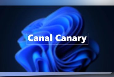 Canal Canary de Windows 11