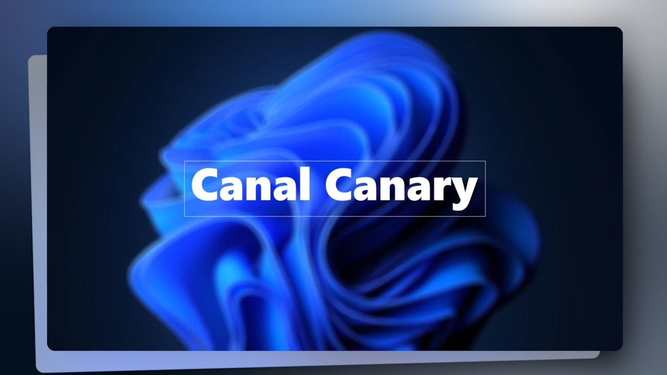 Canal Canary de Windows 11