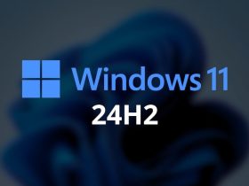 Problemas de Windows 11 24H2