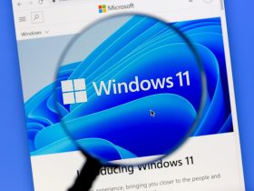 Problemas con la impresora en Windows 11 24H2