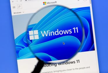 Problemas con la impresora en Windows 11 24H2