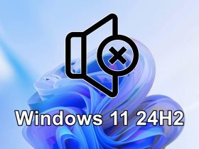 Surgen nuevos problemas en Windows 11 24H2