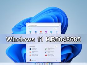 Errores de Windows 11 KB5048685