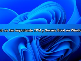 TPM y Secure Boot en Windows 11