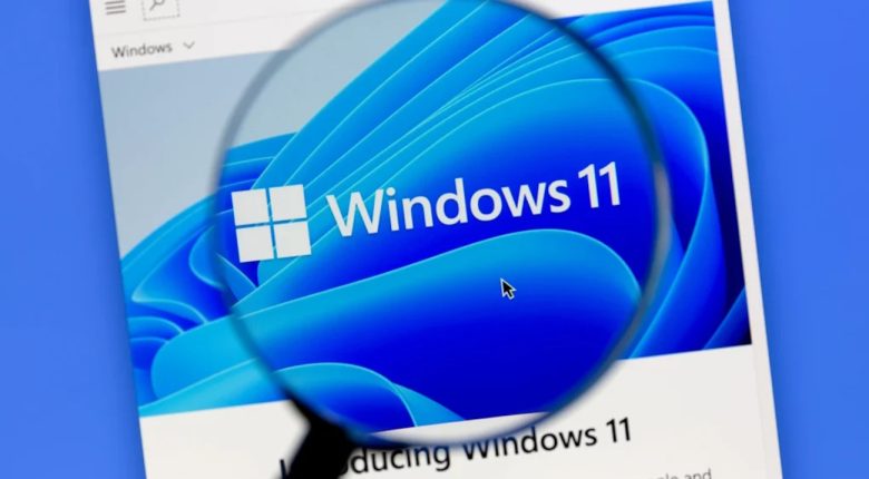 Actualización KB5050009 y KB5050021 para Windows 11