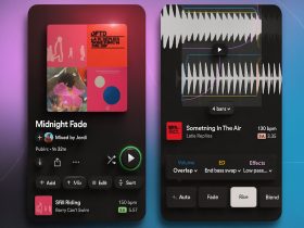 Spotify Premium permite personalizar las listas de reproducción