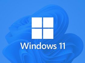 Windows 11 KB5063878 genera problemas con NDI en OBS