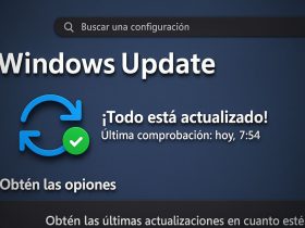Windows 11 KB5066189 y Windows 10 KB5066188