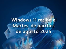 Windows 11 recibe KB5063878 y KB5063875