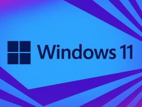 Problemas de las unidades SSD en Windows 11 24H2