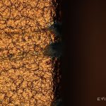 Arañazos del iPhone 17 Pro