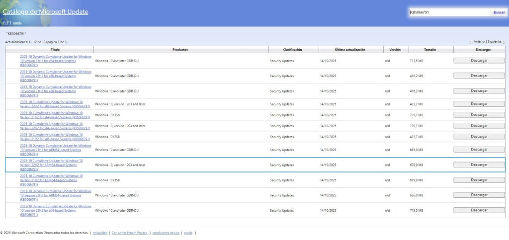 Descargar Windows 10 KB5066791