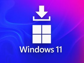 Microsoft lanza los parches dinámicos KB5067039 y KB5067019 para Windows 11