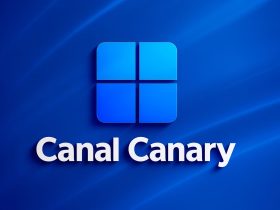 Windows 11 Build 27975 llega al Canal Canary