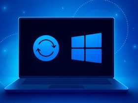 Windows 11 problemas con LocalHost