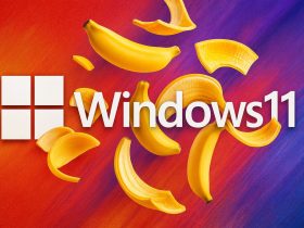 Windows 11 se actualiza con los parches KB5066683 y KB5066687
