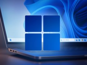 Windows 11 se actualiza en el Canal Dev y Beta