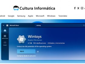 Wintoys 2.4.6.0 ya es compatible con Windows 11 25H2