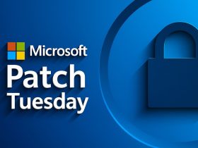 Patch Tuesday - Noviembre 2025