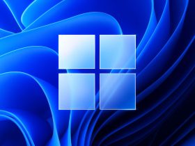 Windows 11 KB5068516 y KB5067040