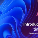 tiny11 Windows 11 25H2