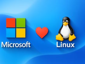 Linus Torvalds defiende a Windows y culpa al hardware por las pantallas azules