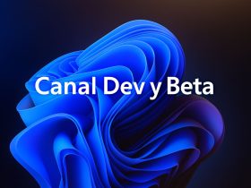 Windows 11 KB5070316