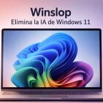 Descargar Winslop
