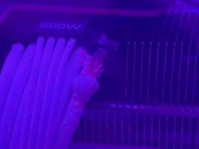 MSI GeForce RTX 4090