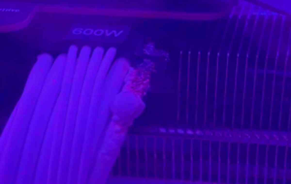 MSI GeForce RTX 4090