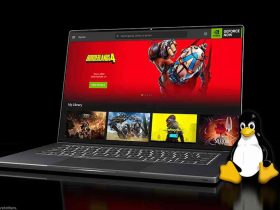 Nvidia GeForce Now para Linux