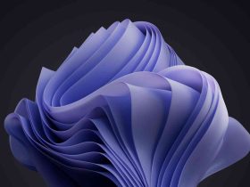 Windows 11 Build 26220.7872 y 26300.7877